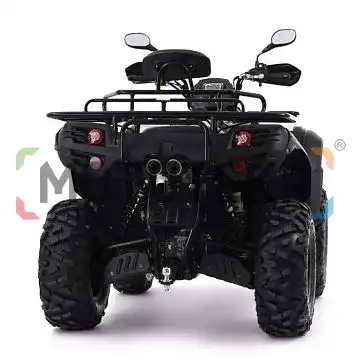 Квадроцикл TGB (ТГБ) BLADE 550 EPS с ПСМ | Мототека