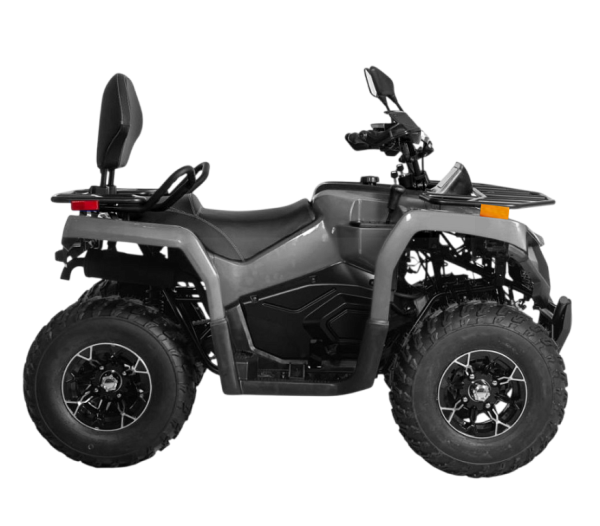 Квадрицикл Bizon (Бизон) YK250 LUX EFI серый с ПСМ - купить с доставкой, цены в интернет-магазине Мототека