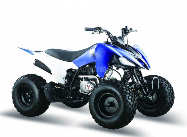 Квадроцикл Мотомир PANTERA 200 CVT (машинокомплект)