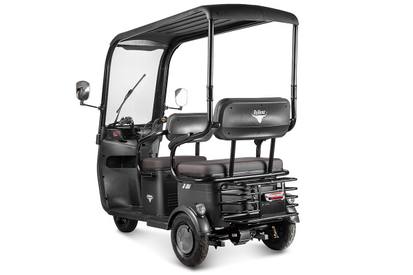 Пассажирский электротрицикл Rutrike (Рутрайк) Gelbert Bos 48V/60V 800Вт | Мототека